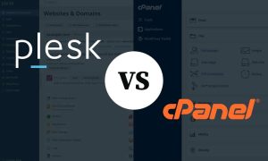 cPanel and Plesk